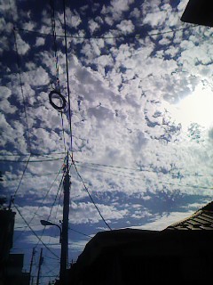 �߼��λ�����(__)