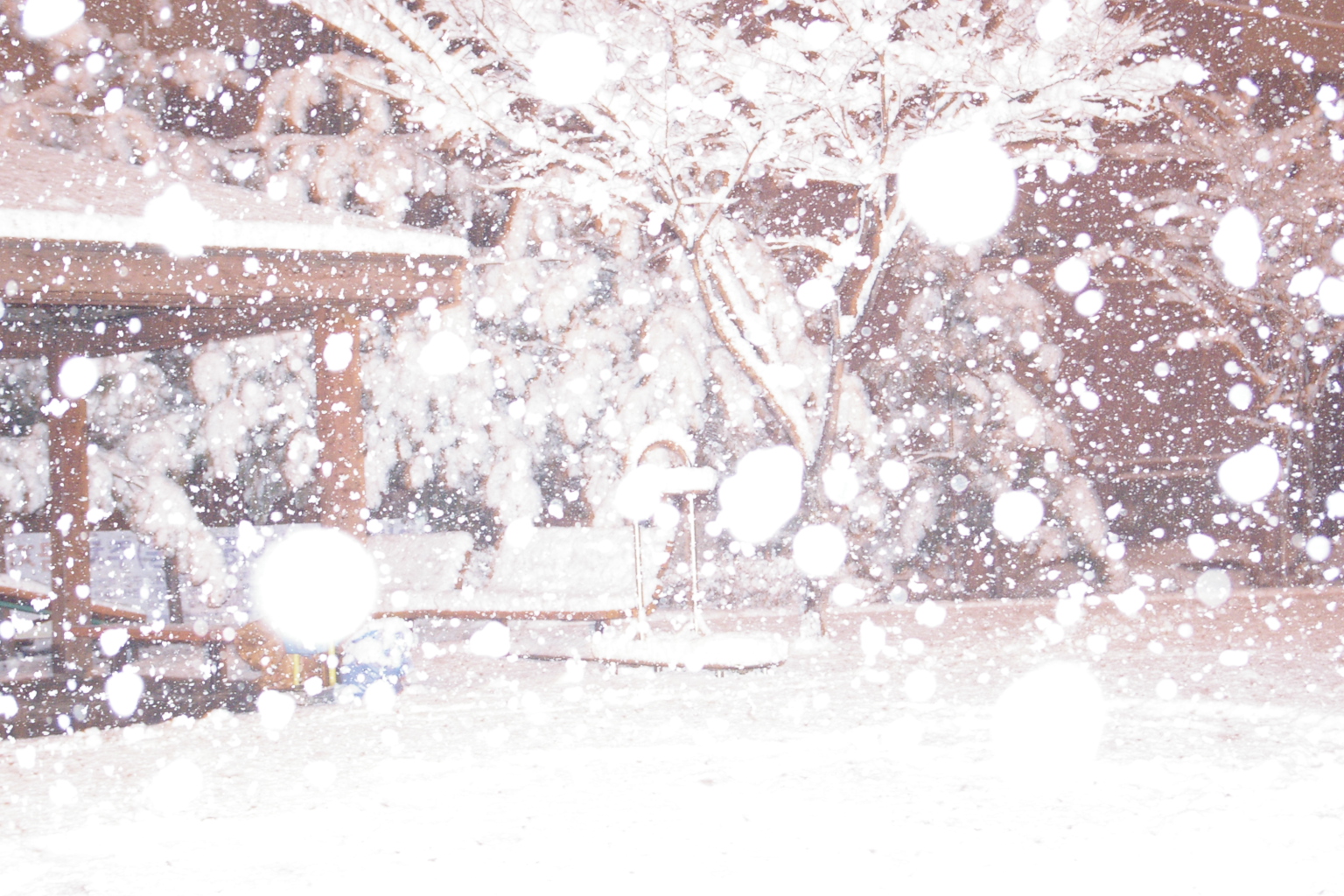 ���� ó���� �Թڴ�