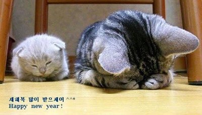 ���� �� ���� ��������