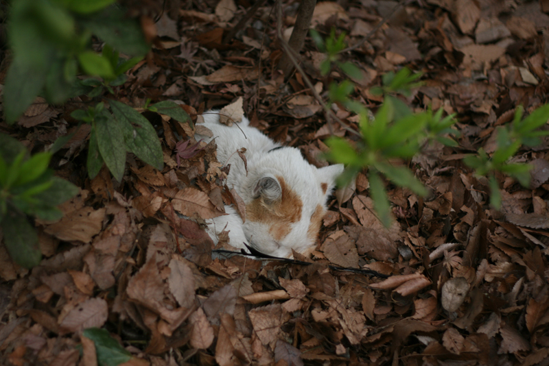 �������Դϴ�^^