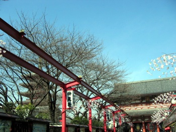 �Ϻ�����6��°.