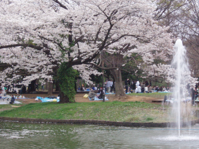 �϶��ֲ��� �Ƹ��ٿ�*����*