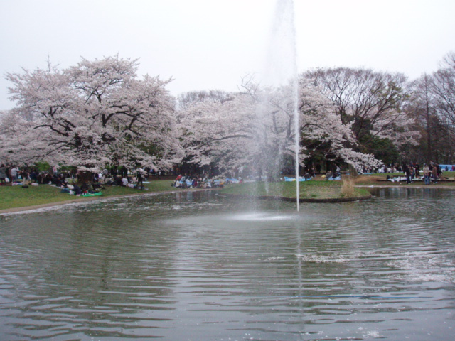 �϶��ֲ��� �Ƹ��ٿ�*����*