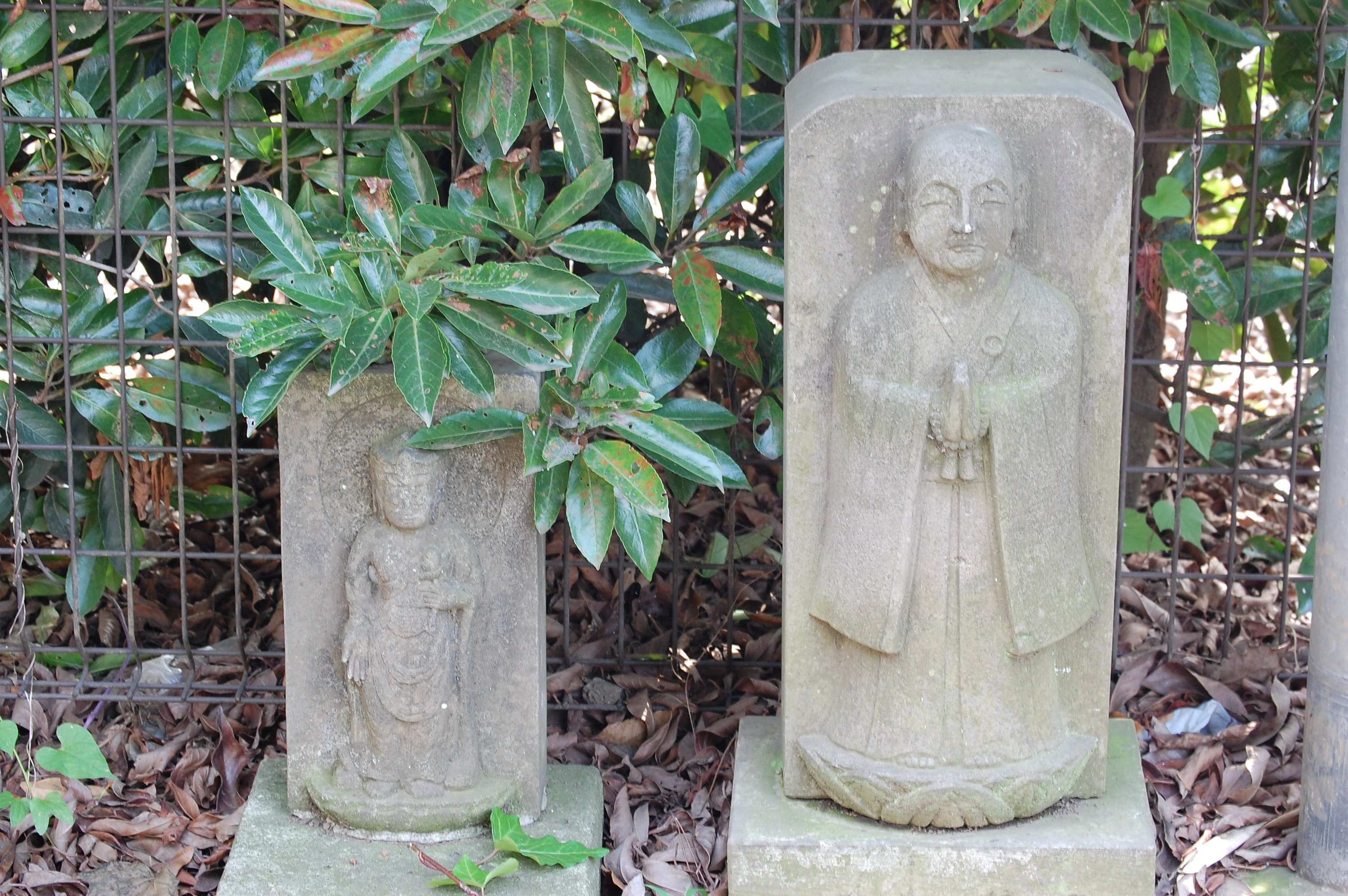 �ȳ��ϼ���