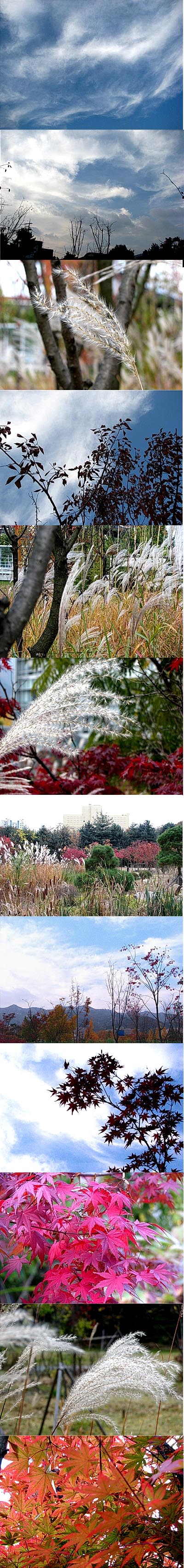 �ٵ� �ٻڽ���?