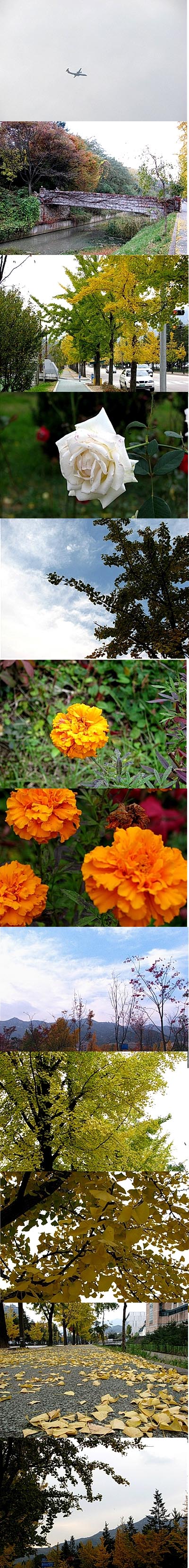 �ٵ� �ٻڽ���?