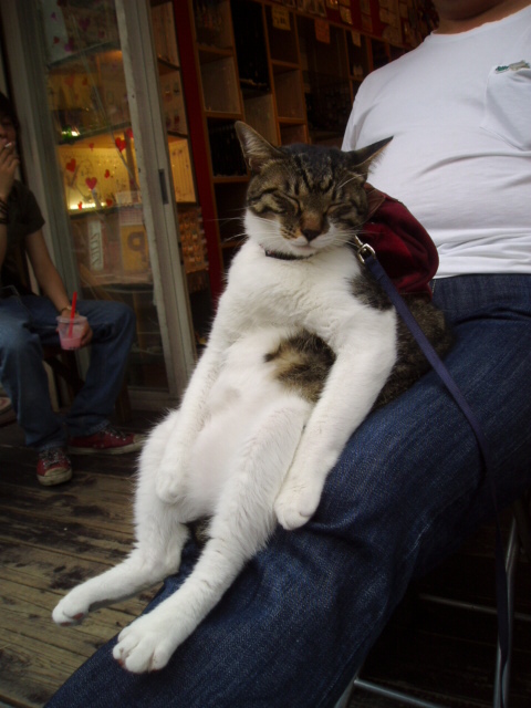 �� �� �� �� ��!!!!!!!!!!!!!!!!!!!!!!!!!!!!!!!