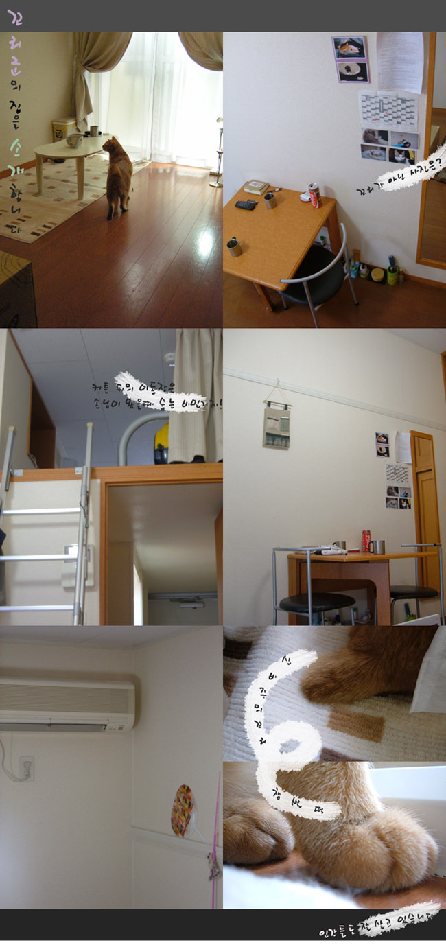 ���� Ƽ�� 3�� ����, �Ǵ� ���� ������ ������ �� ã���ϴ�. (�ణ ����^^)