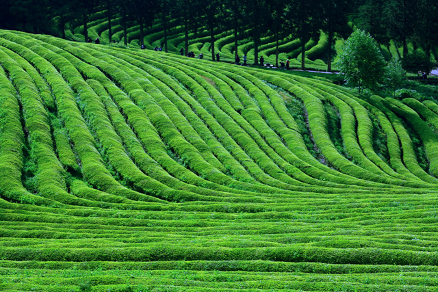 ��ó�� ���³� ����