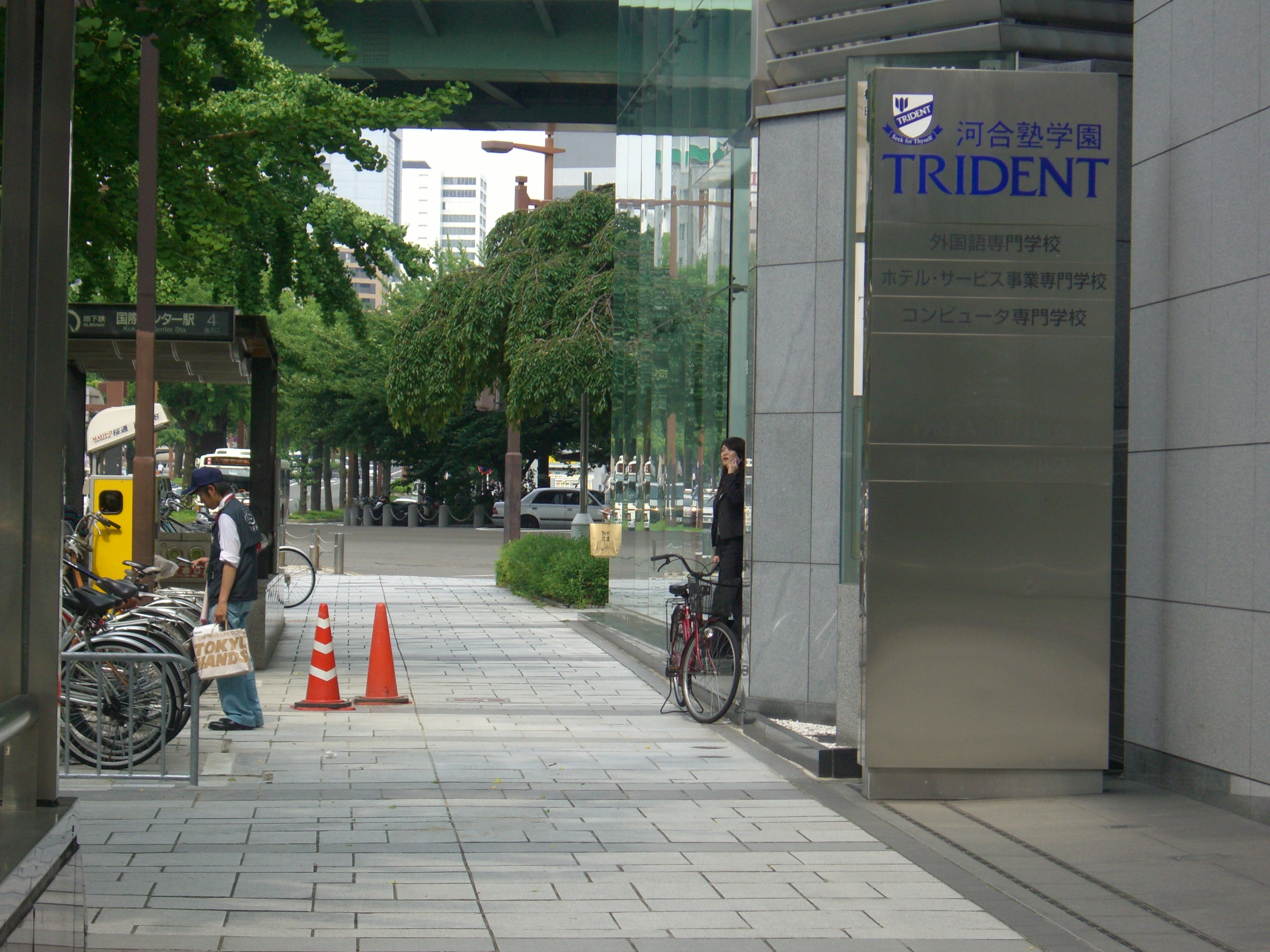 Ʈ���̵�Ʈ�� ã�Ҵ� ������