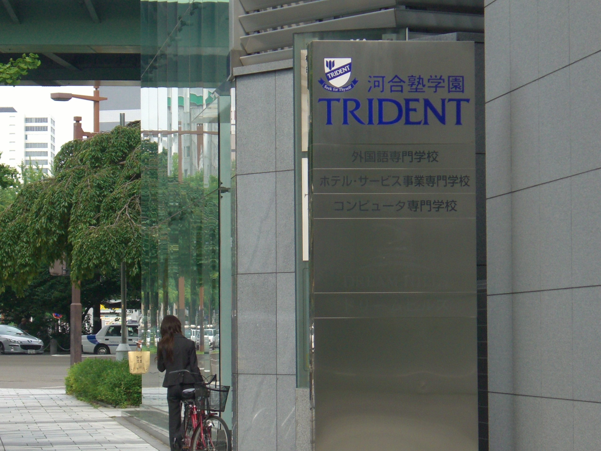 Ʈ���̵�Ʈ�� ã�Ҵ� ������