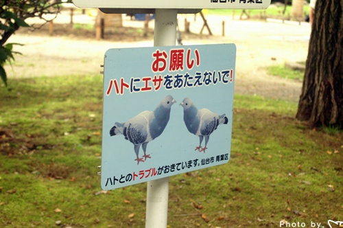 ���������� ��Ÿ�� �Ϻ������ �Բ��߾��(1��)