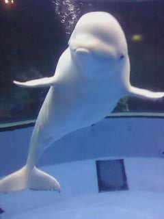 �������̿���~^__________^