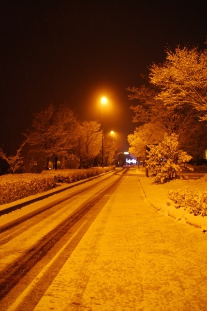 ���� �ֺ����� ������ ��