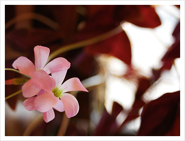 ������ ����� ��~