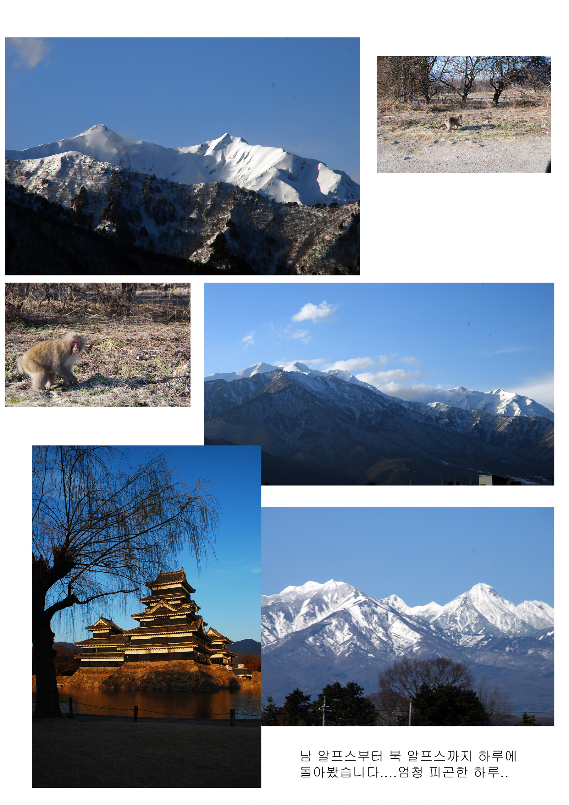 ���������� ���� �Ͼ����� �ڶ�..