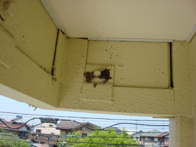 �� ���밡����!!