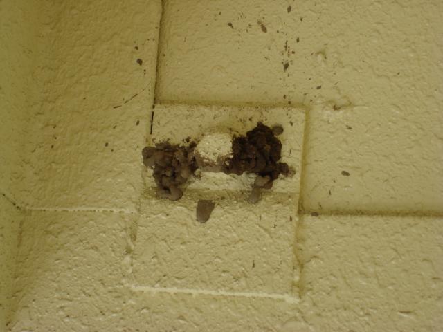 �� ���밡����!!