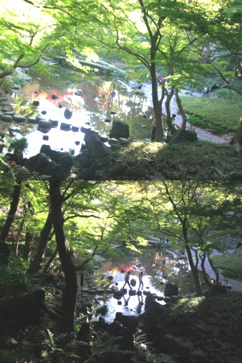 �ǿԾ�� !!���Ϥ�����