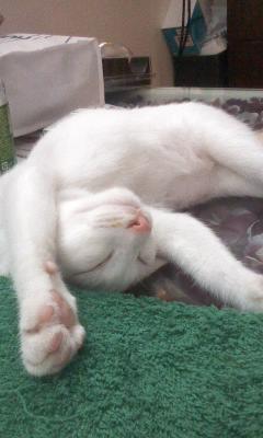 ���ڱ� �ѱ� ������ ����....