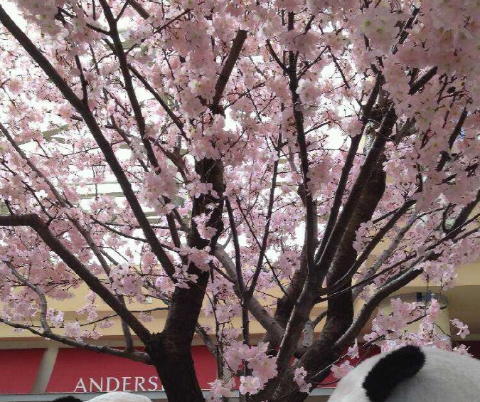 ���� ���� �غ��ϴٰ� ����...^ ^;;