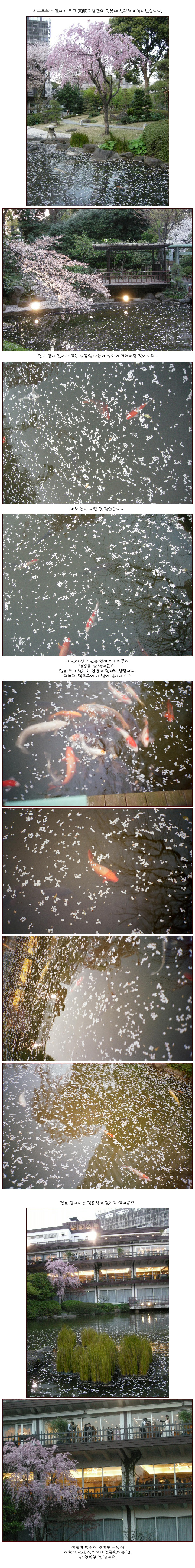 [�Ϻ���] ��郷��ҷν ������ ���� ����