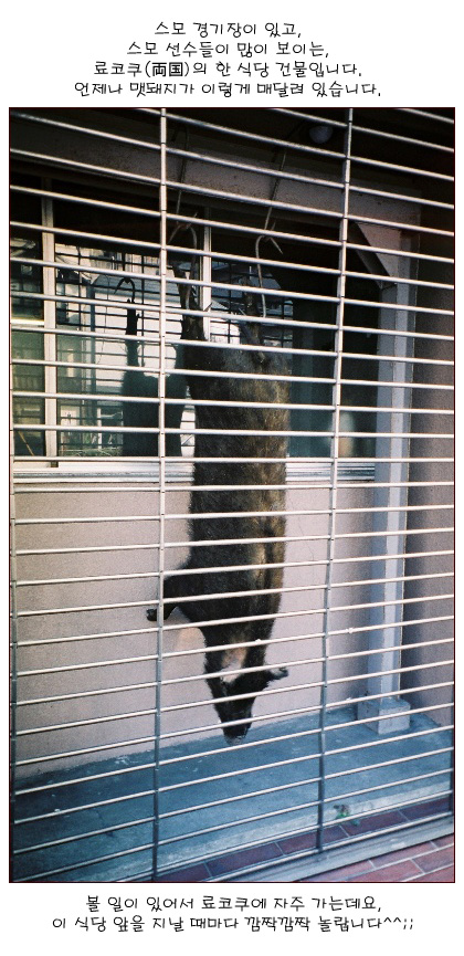 [�Ϻ���] ������(両国) �˵���