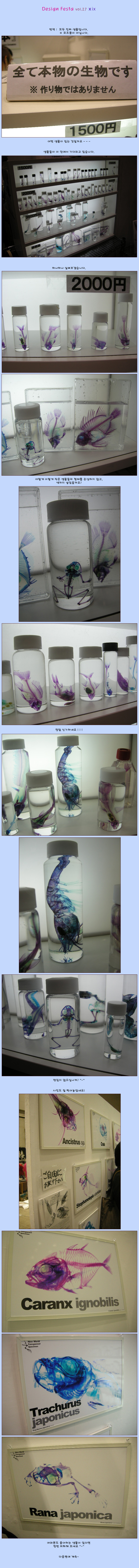 [ �� �� ] ���� �����̳��� õ��, Design Festa vol.27 x�� - ��� ��¥ �����Դϴ�.