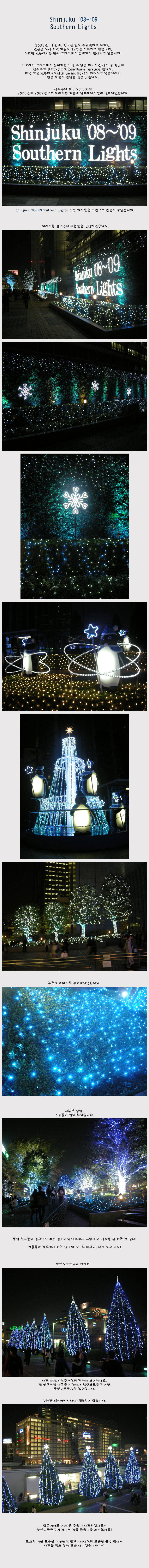 [�Ϻ���] Shinjuku ��08~��09 Southern Lights