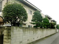 ����ü�Ű�����